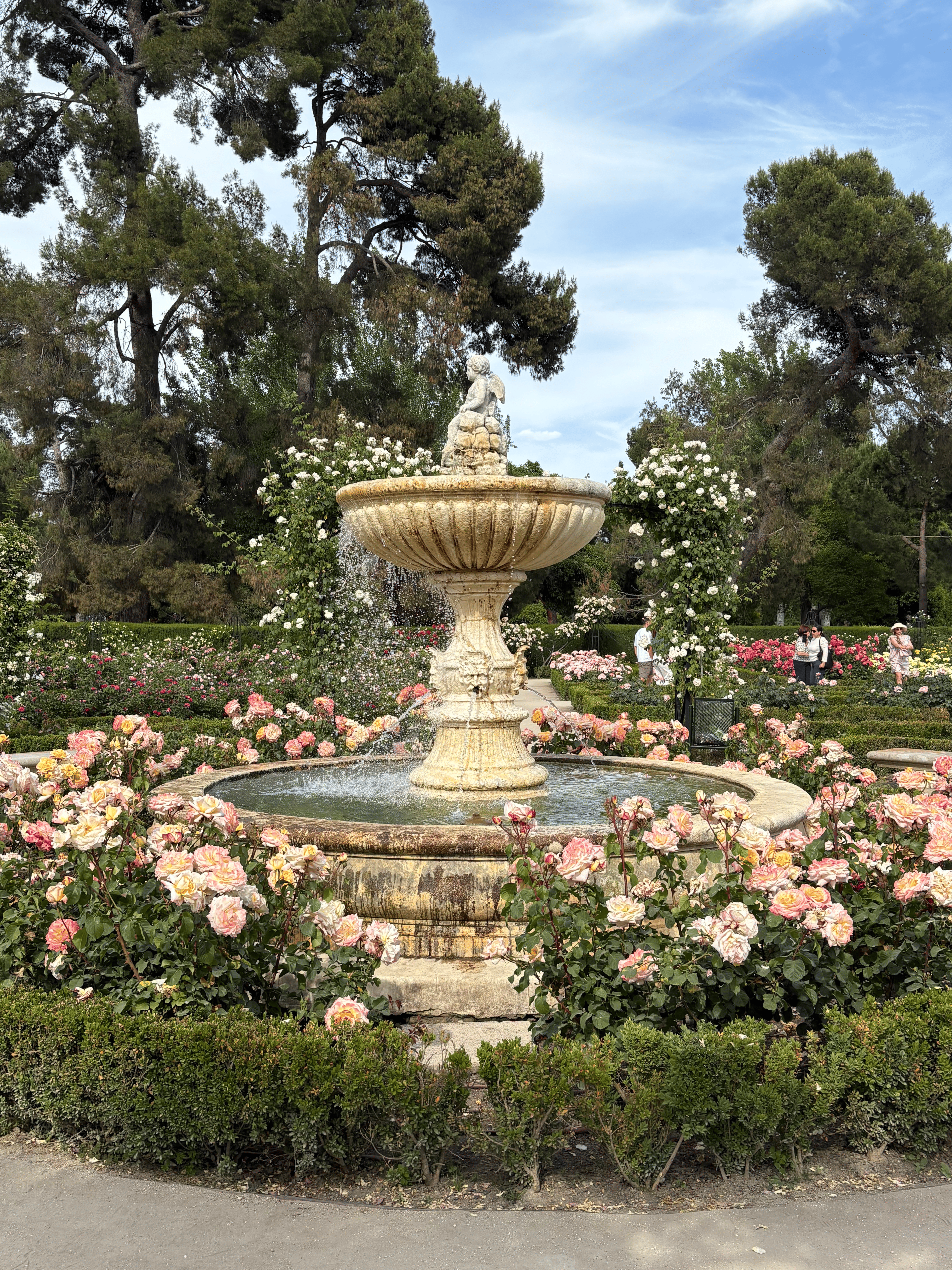 La Rosaleda rose garden in Retiro Park
